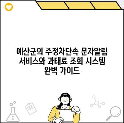 예산군의 주정차단속 문자알림 서비스와 과태료 조회 시스템 완벽 가이드