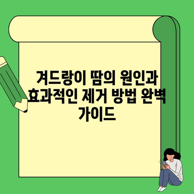 겨드랑이 땀의 원인과 효과적인 제거 방법 완벽 가이드