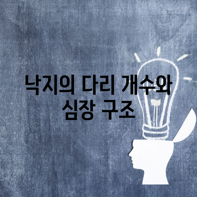 낙지의 다리 개수와 심장 구조