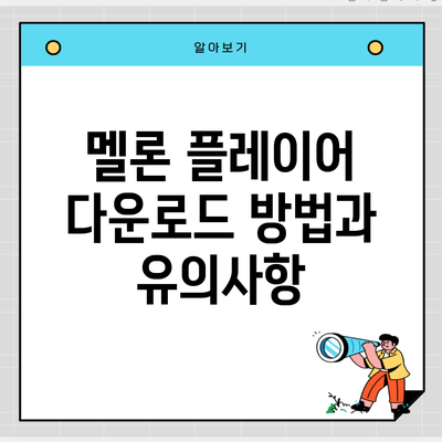 멜론 플레이어 다운로드 방법과 유의사항