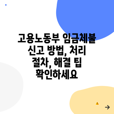 고용노동부 임금체불 신고 방법, 처리 절차, 해결 팁 확인하세요