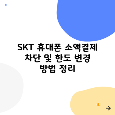 SKT 휴대폰 소액결제 차단 및 한도 변경 방법 정리