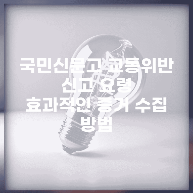 국민신문고 교통위반 신고 요령 | 효과적인 증거 수집 방법