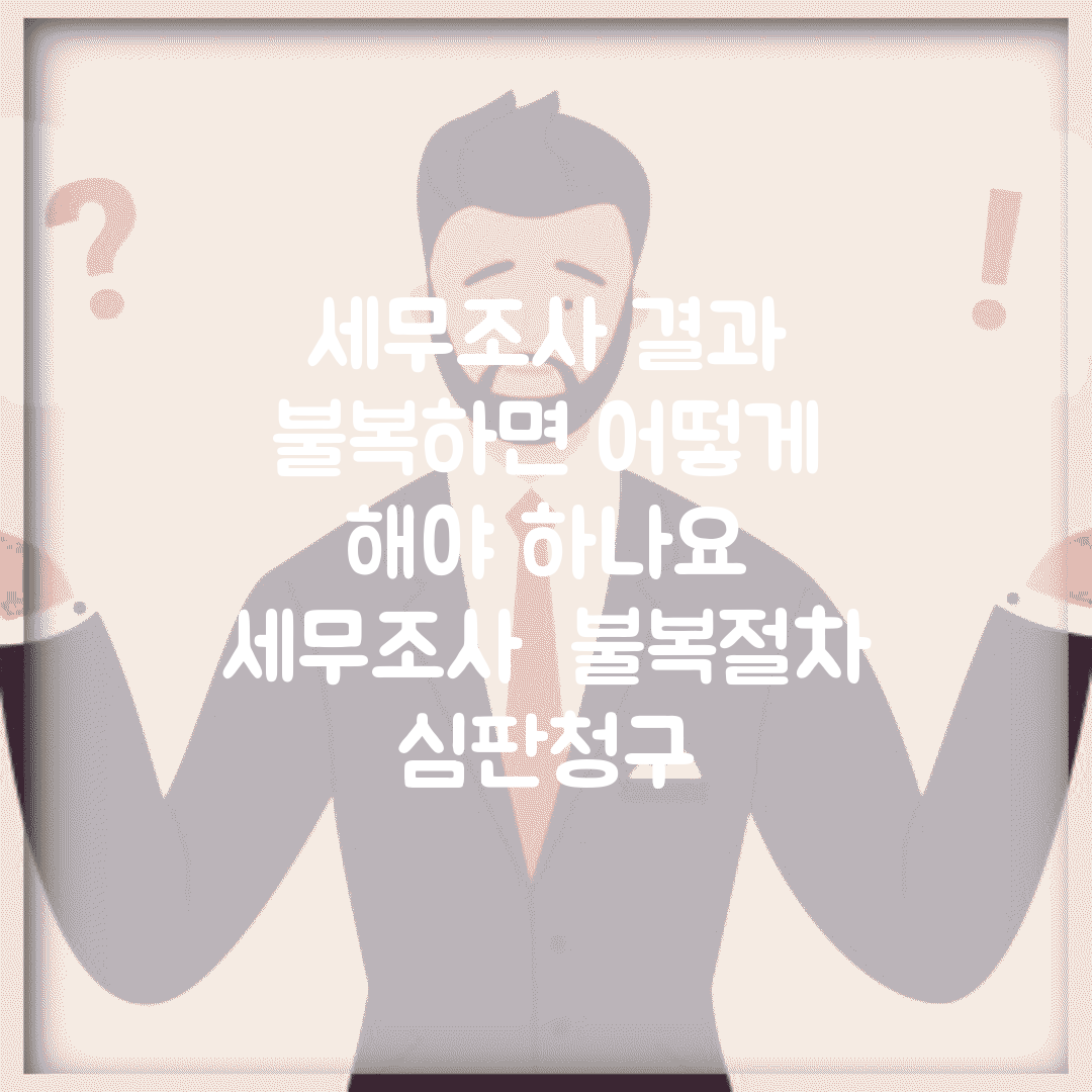 세무조사 결과 불복하면 어떻게 해야 하나요 | 세무조사 | 불복절차 | 심판청구