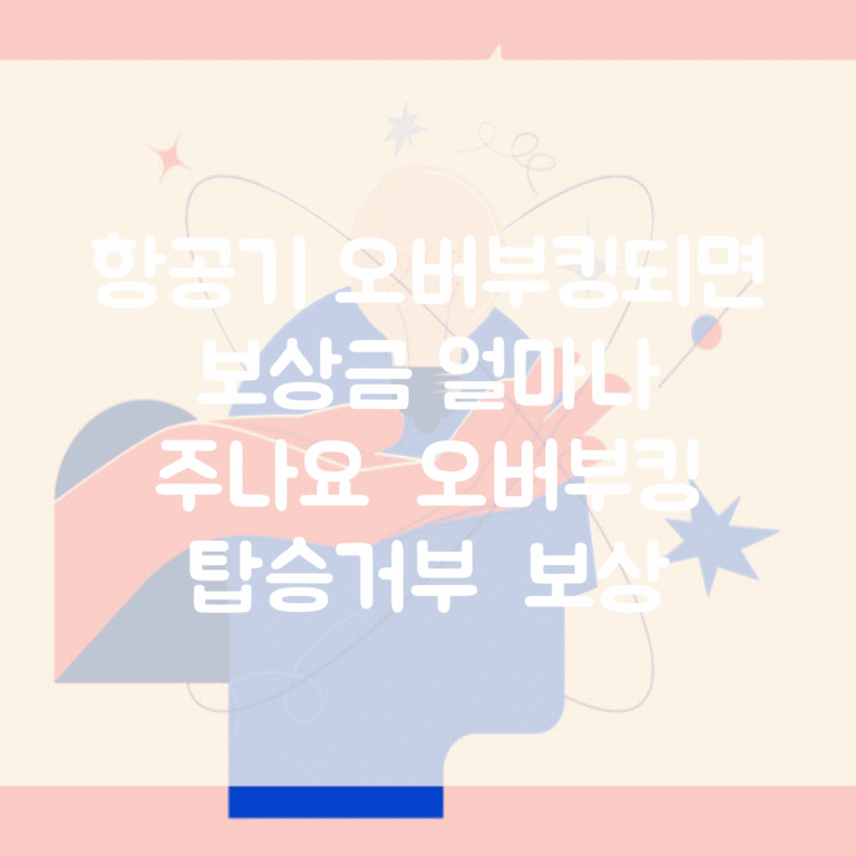 항공기 오버부킹되면 보상금 얼마나 주나요 | 오버부킹 | 탑승거부 | 보상