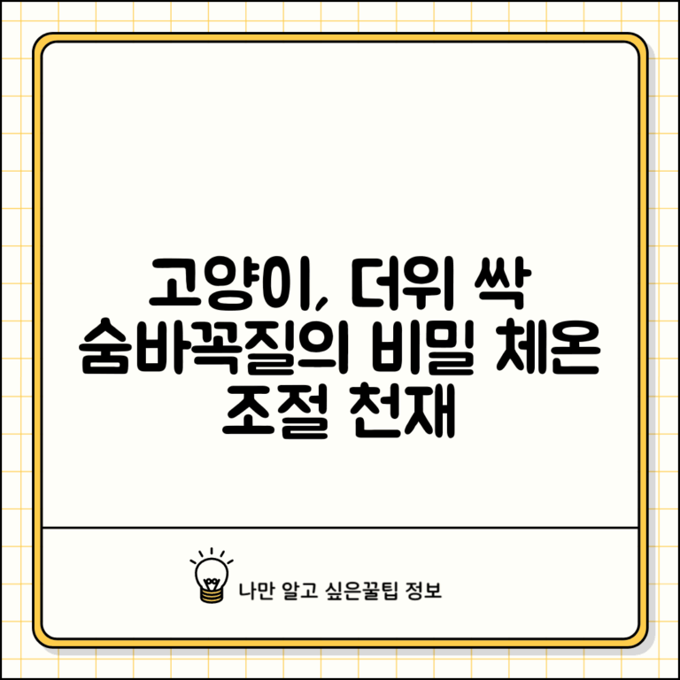고양이가 선선한 곳만 찾아다니는 이유가 뭔가요 | 고양이 체온조절 | 더위 | 시원한 곳