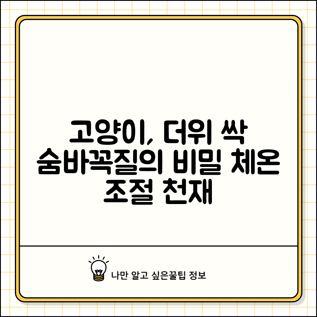 고양이가 선선한 곳만 찾아다니는 이유가 뭔가요 | 고양이 체온조절 | 더위 | 시원한 곳