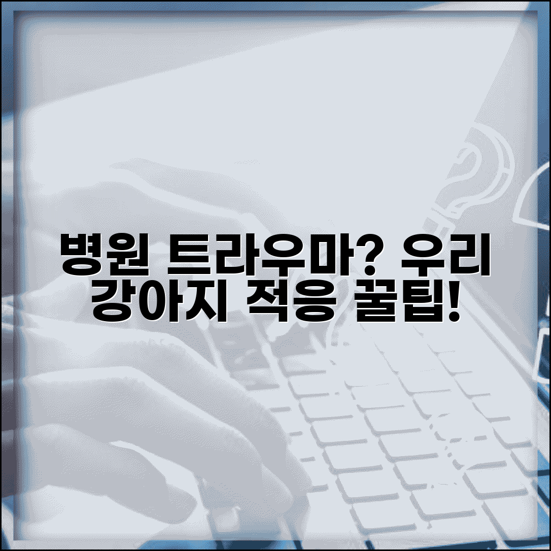 강아지 병원 무서워함 교정 동물병원 적응 | 강아지 병원 스트레스 줄이기