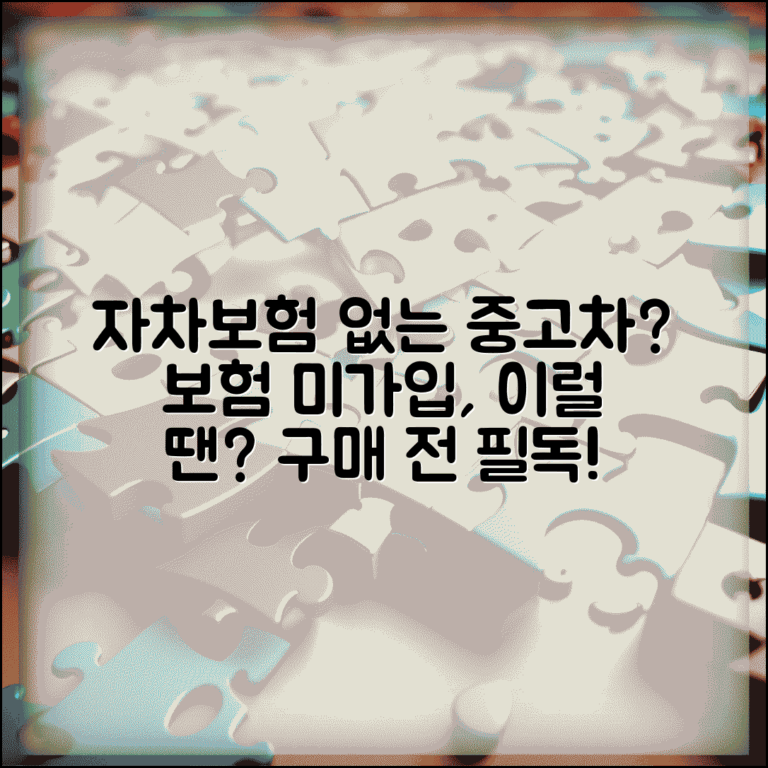 자차보험 미가입 중고차 구매 위험 | 중고차 자차보험 미가입 완벽 대처법