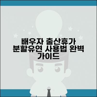 배우자 출산휴가 분할 사용 방법 | 출산휴가 유연 사용 완벽 가이드