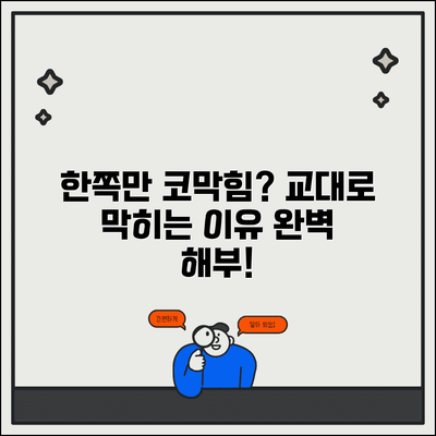 코막힘 한쪽만 막히는 이유 완벽정리 | 코 교대로 막히는 원인