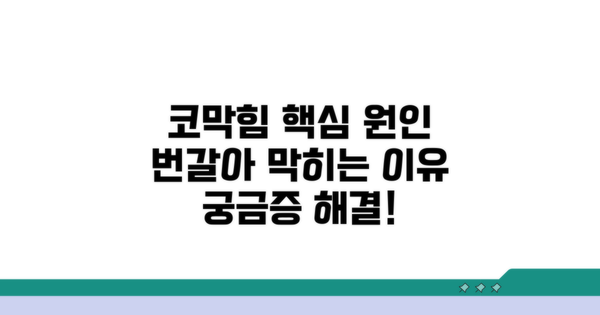 코가 번갈아 막히는 핵심 원인