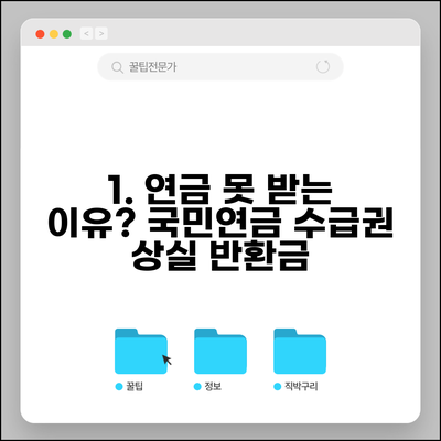 연금 못받는 경우 | 국민연금 수급권 상실 사유와 반환일시금 수령