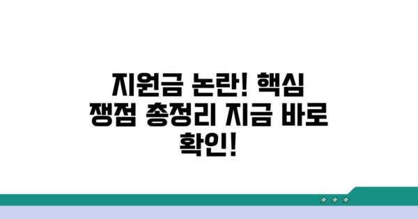 지원금 논의, 핵심 쟁점 분석