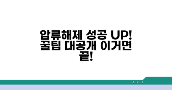 압류해제 성공률 높이는 꿀팁