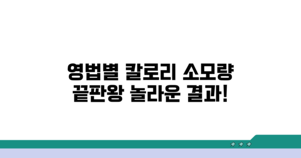 영법별 칼로리 소모량 한눈에