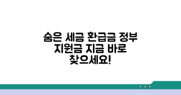 정부 지원 세금 환급금, 숨은 돈 찾기