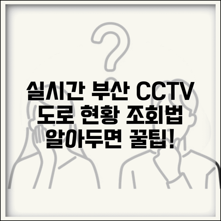 부산 cctv 실시간 교통정보 도로현황 | 부산시 실시간 CCTV 조회 방법 및 유용한 팁
