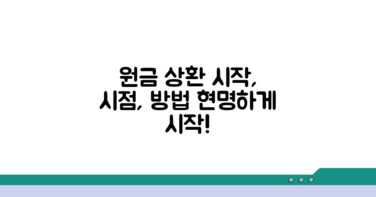 원금 상환 시작, 시점과 방법