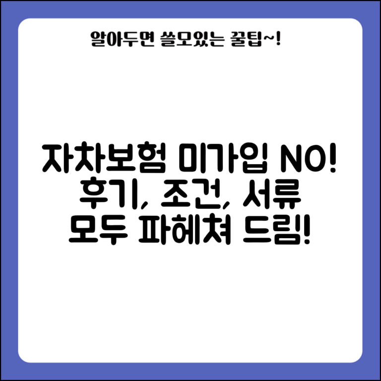 자차보험 미가입 디시 후기 경험담 | 정보, 조건, 필요서류 총정리