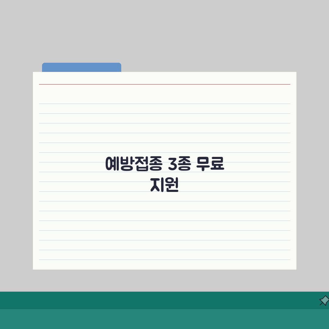 65세 예방접종 지원제도 | 독감/대상포진/코로나 무료접종 일정 꿀팁 공유해요!