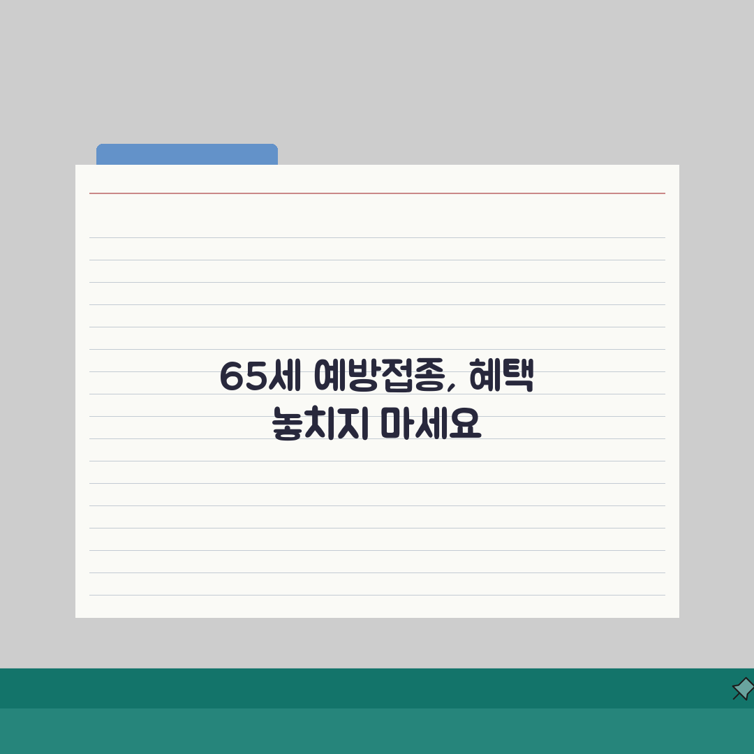 65세 예방접종 지원제도 | 독감/대상포진/코로나 무료접종 일정 꿀팁 공유해요!
