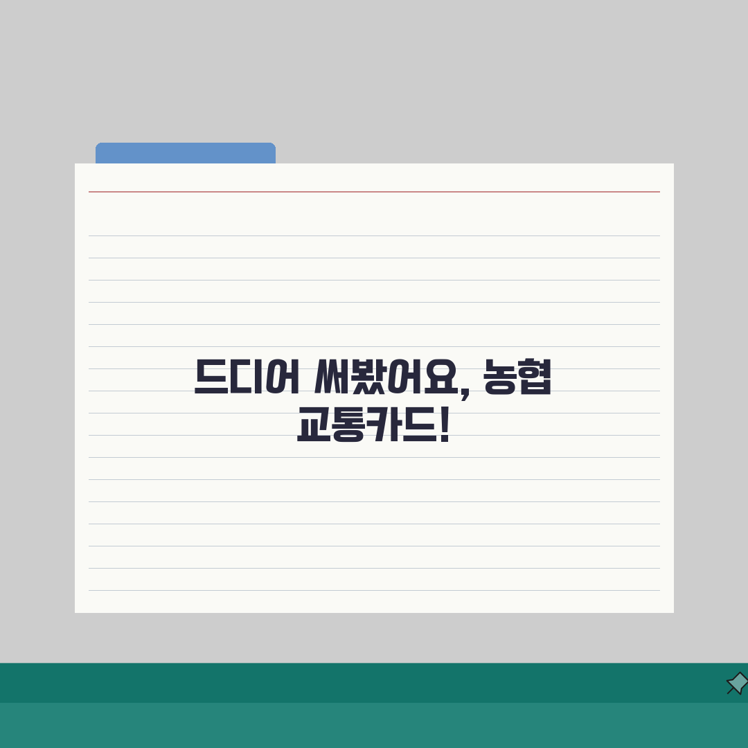 NH농협카드 교통카드 등록방법 | 충전방법, 잔액확인 직접 해봤어요